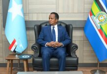 Soomaaliya iyo Masar oo Adkeeyay Xiriirka Istaraatiijiga ah iyo Iskaashiga Labada Dal