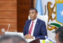 Somalia condemns Somaliland leader’s Israel visit, approves rights commission member
