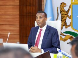 Somalia condemns Somaliland leader’s Israel visit, approves rights commission member