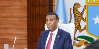 Somalia condemns Somaliland leader’s Israel visit, approves rights commission member