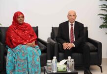 Somali Lawmakers Raise Plight of Detained Migrants in Talks With Libyan Parliament Speaker