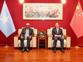 South West State leader meets Chinese ambassador to discuss development cooperation