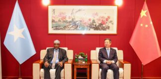 South West State leader meets Chinese ambassador to discuss development cooperation