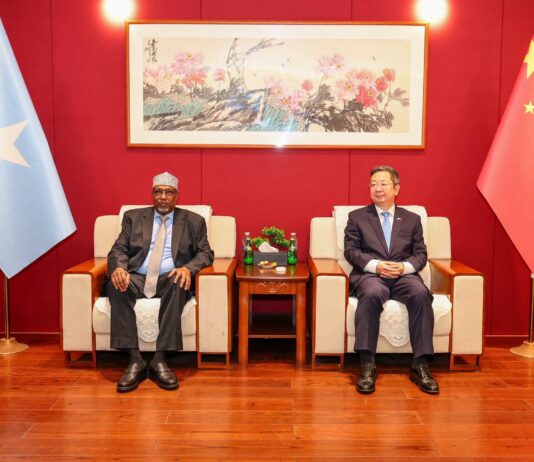 South West State leader meets Chinese ambassador to discuss development cooperation