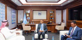 Ra’iisul Wasaare Xamsa Oo Qaabilay Danjiraha Sacuudiga, Kana Wada Hadlay Xoojinta Iskaashiga Labada Dal