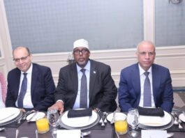 Somalia envoy attends Arab League farewell ceremony in Cairo