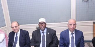Somalia envoy attends Arab League farewell ceremony in Cairo