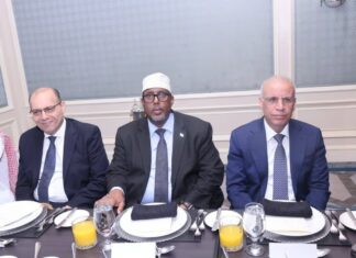 Somalia envoy attends Arab League farewell ceremony in Cairo