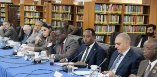 Somalia envoy joins Africa Day celebrations in Pakistan