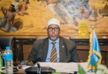 Somalia chairs meeting of African ambassadors in Cairo to strengthen continental cooperation