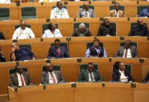 Senetarada Zimbabwe oo ansixiyay wax ka beddelka dastuurka oo kordhinaya muddada Madaxweyne Mnangagwa