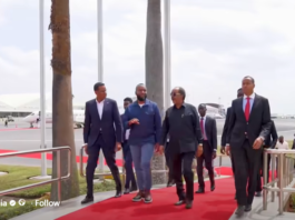 Somalia’s President Holds Talks with Kenya’s Ruto Amid AUSSOM Funding Concerns