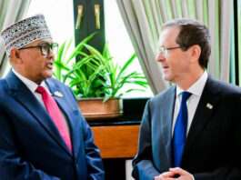 Somaliland, Israel agree to deepen cooperation after presidential talks