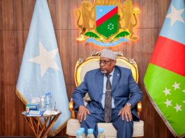 South West Somalia leader appoints new cabinet of 26 ministers