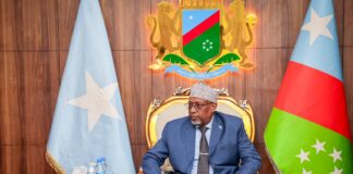 South West Somalia leader appoints new cabinet of 26 ministers