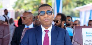 Ra’iisul Wasaare Xamze oo ka qeyb galay xuska 1-da Luulyo