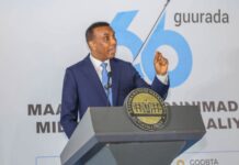 Somali PM Urges National Unity at End of Independence Week Celebrations