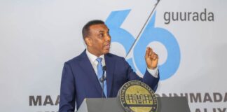 Somali PM Urges National Unity at End of Independence Week Celebrations