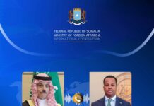 Somali, Saudi foreign ministers discuss bilateral ties and maritime security