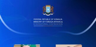 Somali, Saudi foreign ministers discuss bilateral ties and maritime security