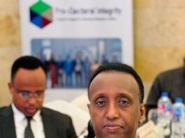 Guddoomiyaha Guddiga Doorashooyinka Qaranka oo ka qeyb galay Madasha Guddiyada Doorashooyinka Afrika ee Masar
