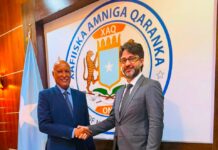 Lataliyaha Amniga Qaranka oo la kulmay Danjiraha Türkiye ee Soomaaliya