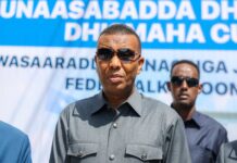 Ra’iisul Wasaare Xamsa oo sheegay in dalka uu dhwaan yeelan doono wax soo saar ballaaran