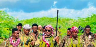 Somali army destroys Al-Shabaab hideouts in Lower Shabelle operation