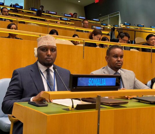 Wasiirka Qorsheynta oo Golaha ECOSOC ka Soo Bandhigay Horumarka Soomaaliya