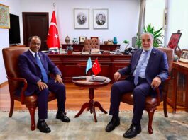 Wasiiru-dowlaha Arrimaha Dibadda Soomaaliya oo Ankara kula kulmay Wasiir Ku-xigeenka Arrimaha Dibadda ee Türkiye