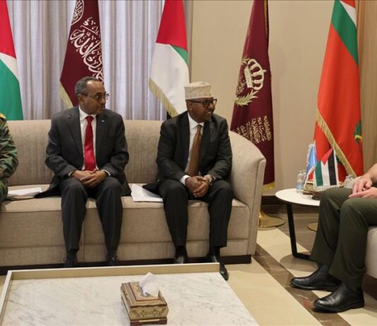 Jordan, Somalia Discuss Military Cooperation