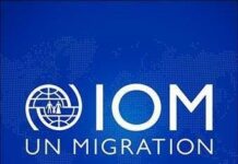 IOM oo Soomaaliya ka billowday barnaamij saddex sano ah oo lagula dagaallamayo tahriibinta iyo dambiyada ka gudba xuduudaha