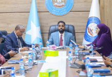 Somalia’s Senate Standing Committee reviews legislative agenda for eighth session