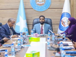 Somalia’s Senate Standing Committee reviews legislative agenda for eighth session