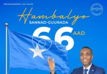 Somali PM Hamza Abdi Barre calls for unity on 66th Independence Day