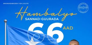 Somali PM Hamza Abdi Barre calls for unity on 66th Independence Day