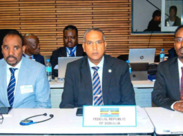 Somalia Joins EAC Ministers in Backing Regional Infrastructure Projects