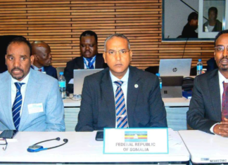 Somalia Joins EAC Ministers in Backing Regional Infrastructure Projects