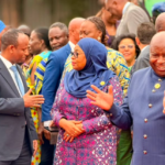 Somalia backs AU health agenda at Accra summit