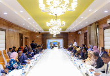 Somalia cabinet approves landmark culture and arts bill to protect national heritage