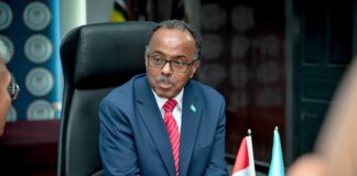 Somalia, Indonesia discuss expanding cooperation on blue economy