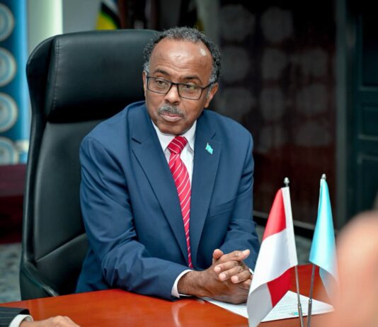 Somalia, Indonesia discuss expanding cooperation on blue economy