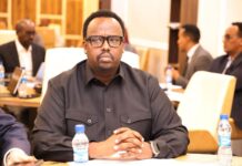 Somalia launches review of national regional integration strategy