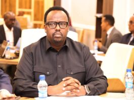 Somalia launches review of national regional integration strategy