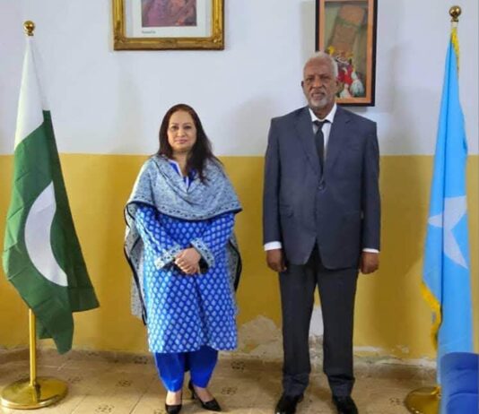 Pakistan, Somalia envoys discuss strengthening security cooperation in Horn of Africa