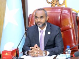 Somalia’s Lower House committee sets agenda for upcoming parliamentary sessions