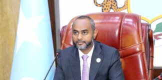 Somalia’s Lower House committee sets agenda for upcoming parliamentary sessions