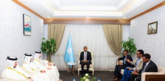 Somalia’s PM meets Qatari delegation over food production and healthcare investment