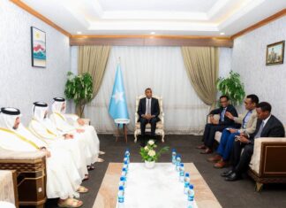 Somalia’s PM meets Qatari delegation over food production and healthcare investment