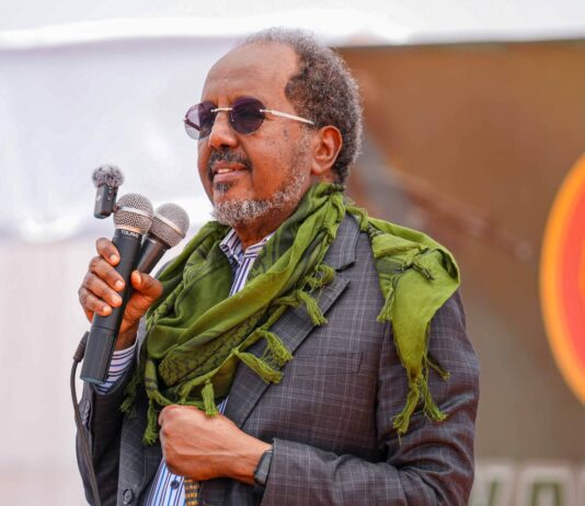 Madaxweyne Xasan Sheekh oo tababar u soo xiray cutubyo ka tirsan Ciidanka Xoogga Dalka